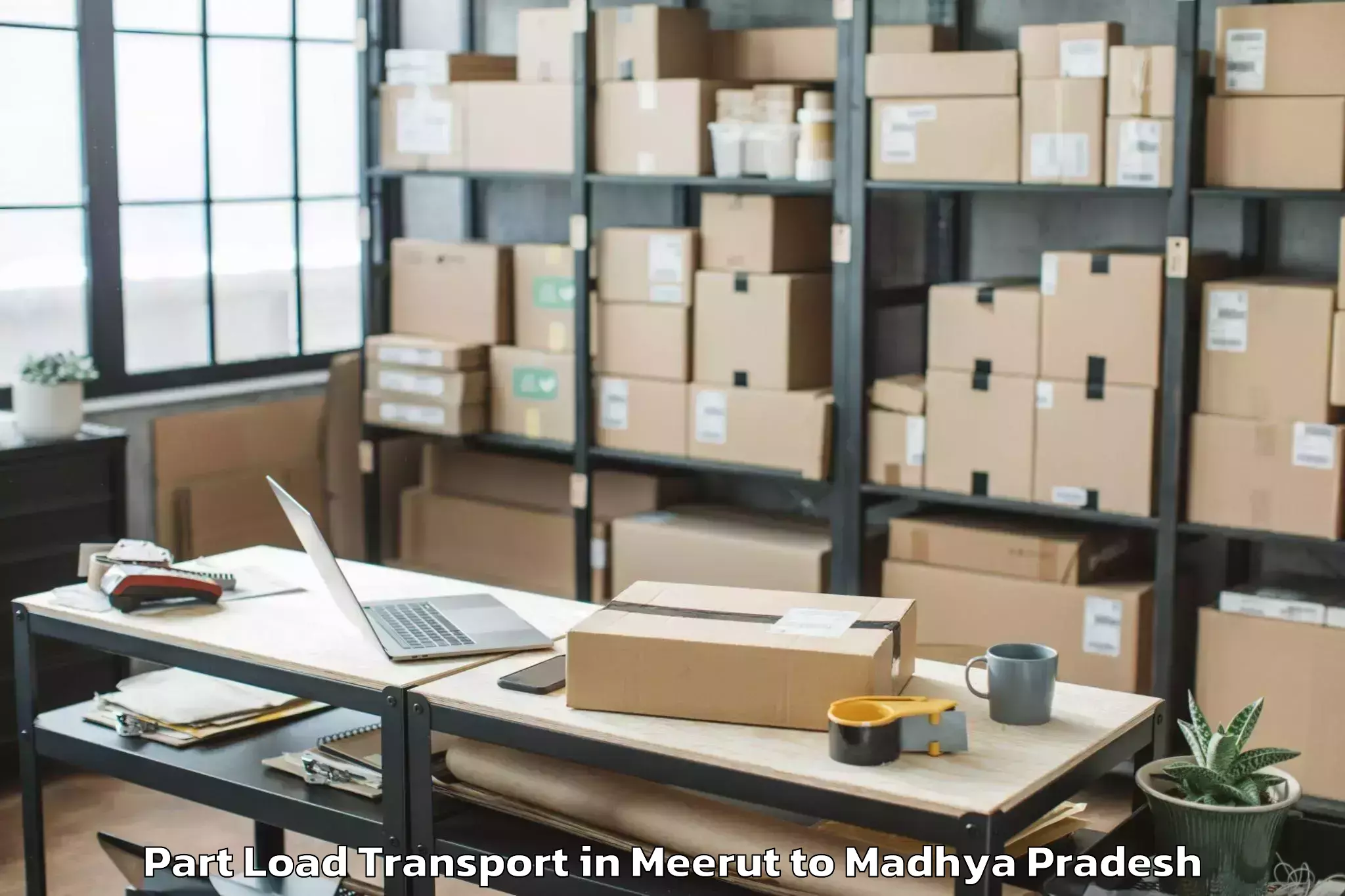 Get Meerut to Rewa Airport Rew Part Load Transport